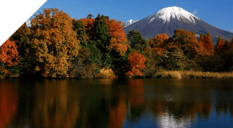 福岡堤